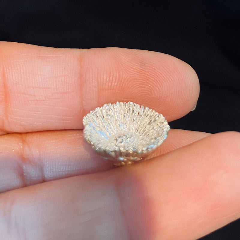 Cast Organic Flower for Jewelry Design