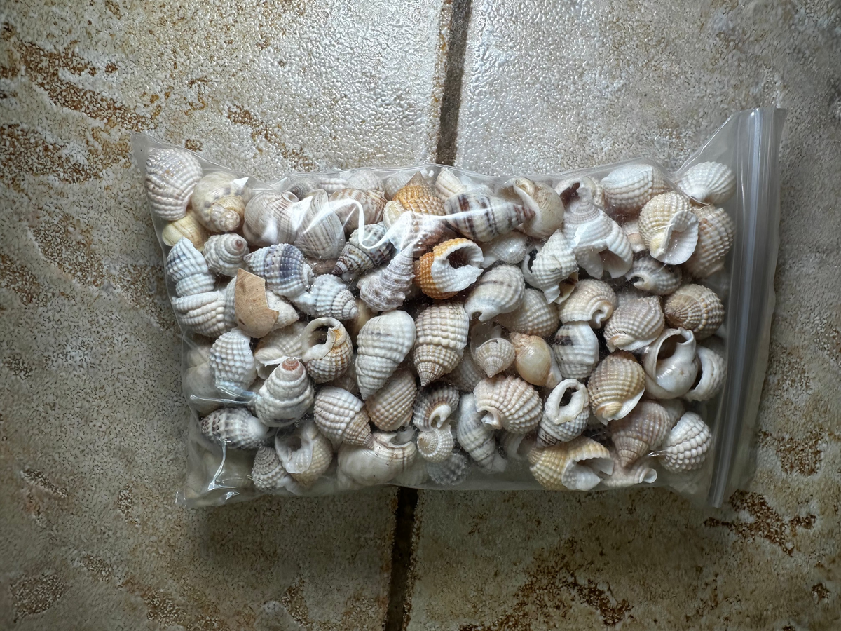 Bulk Shell bags — Lion Punch Forge