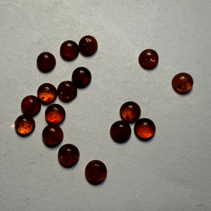 Baltic Amber Cabochons (multiple sizes)