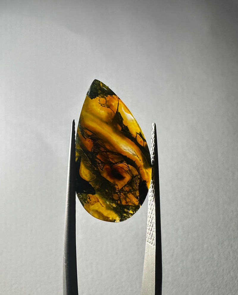 carnelian moss agate cabochons (Multiple sizes)