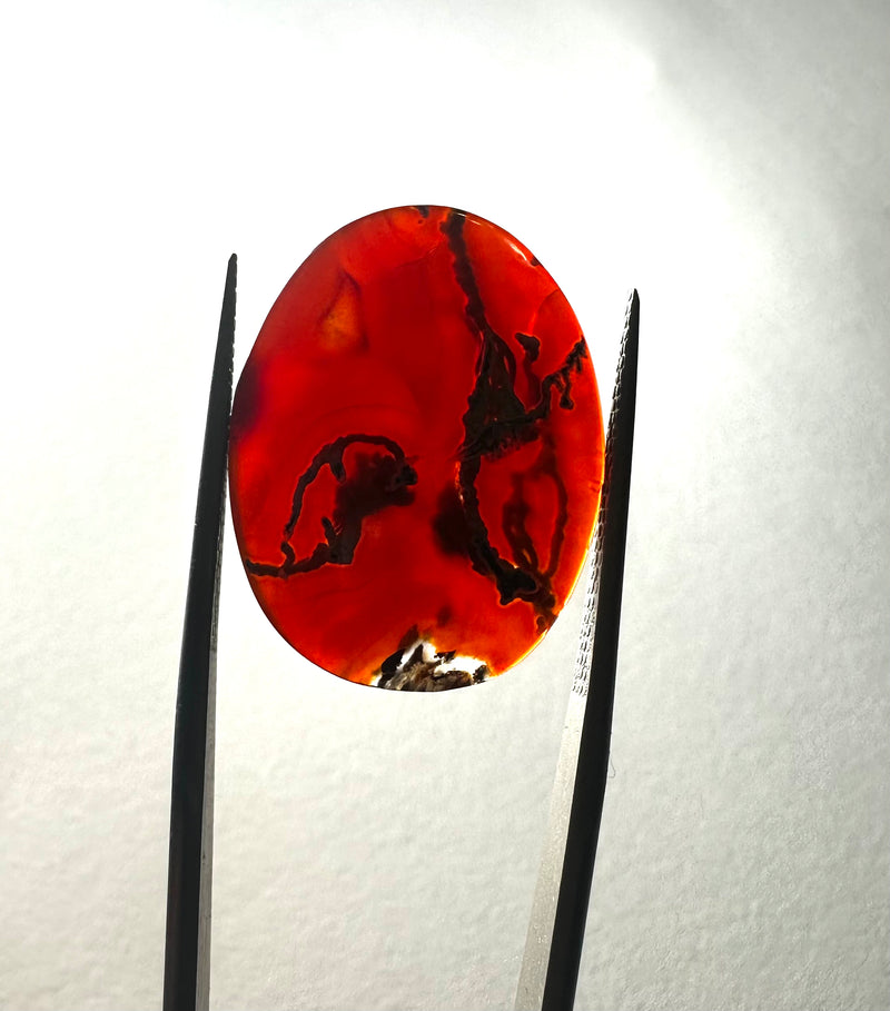 carnelian moss agate cabochons (Multiple sizes)