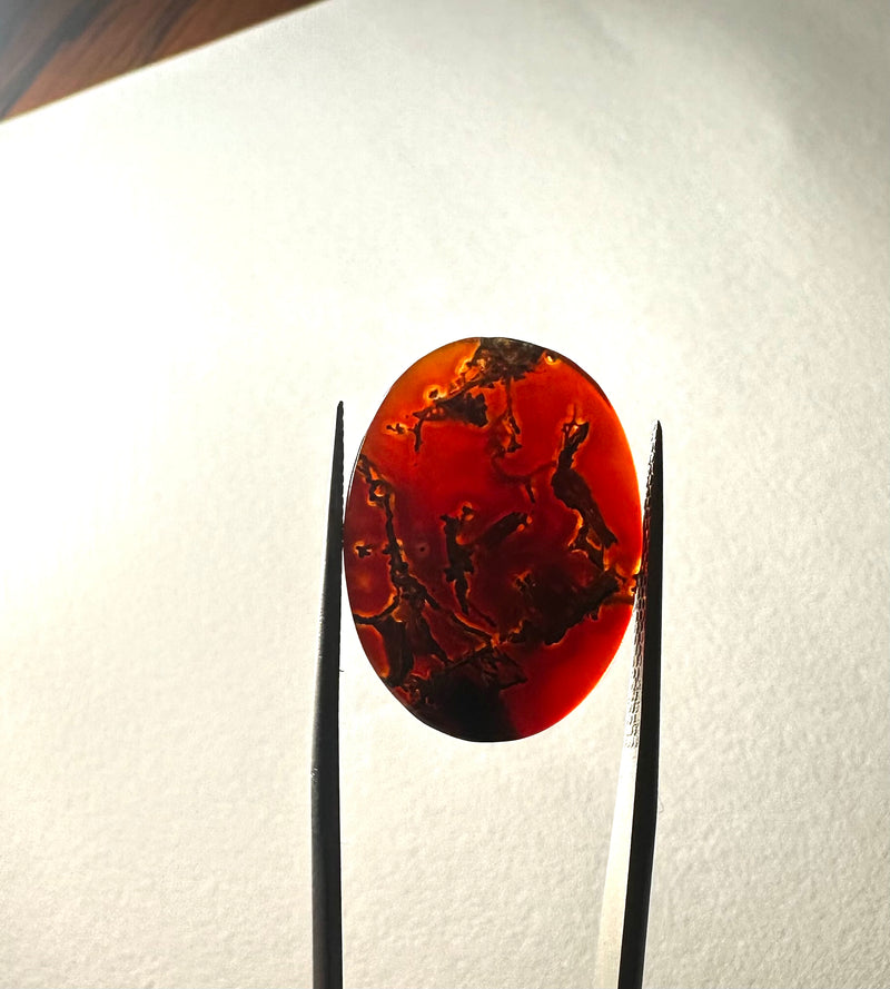 carnelian moss agate cabochons (Multiple sizes)