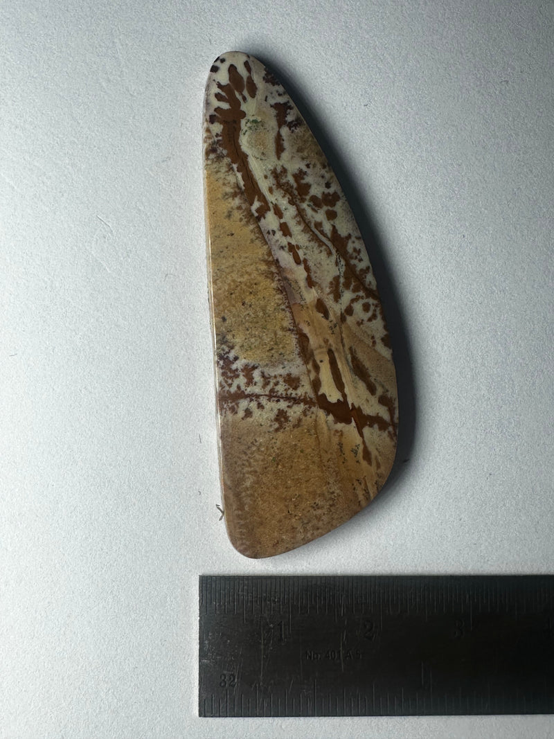 Cherry Creek Jasper (2 sizes)
