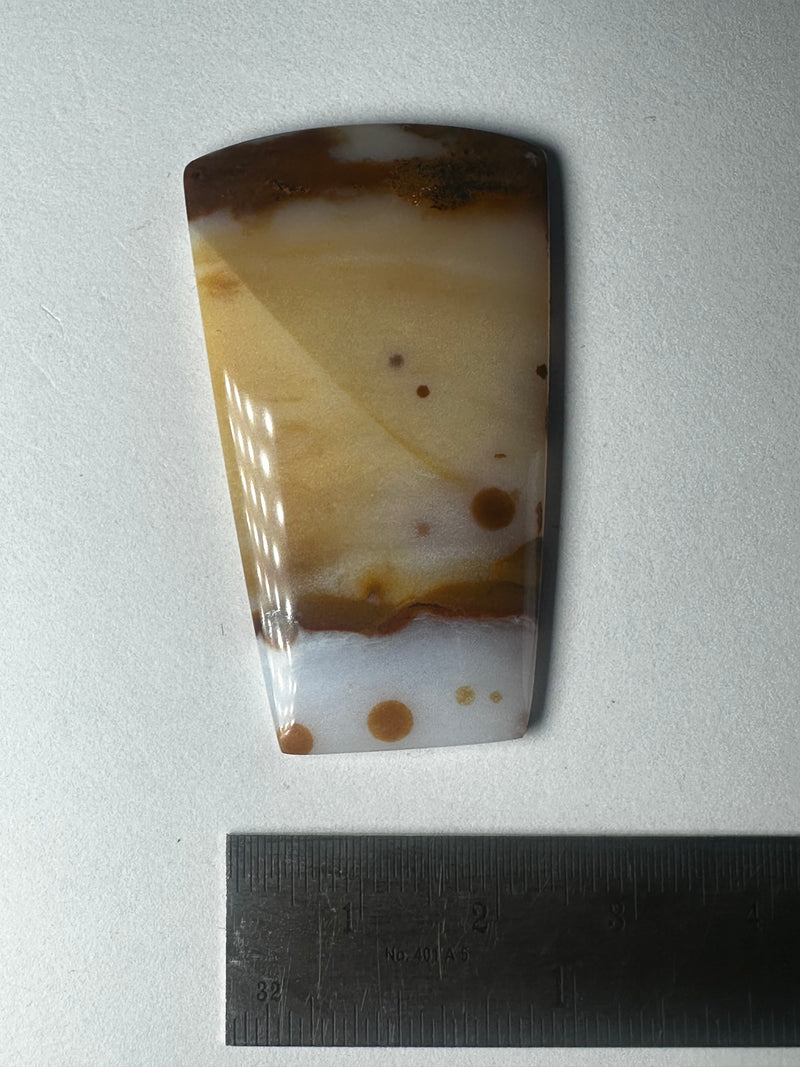 polkadot agate cabs