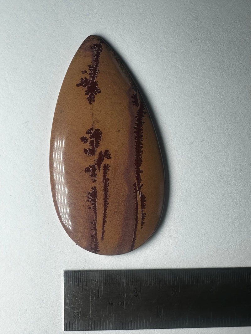 Cherry Creek Jasper (2 sizes)