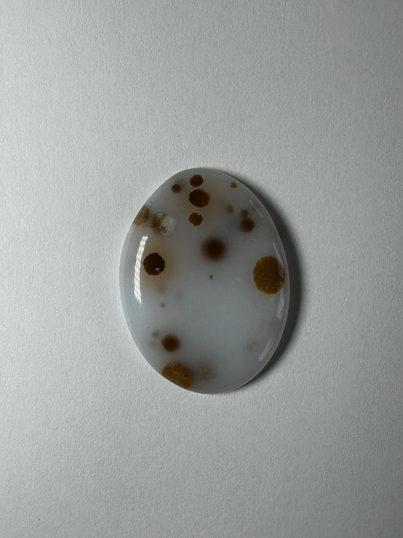 polkadot agate cabs