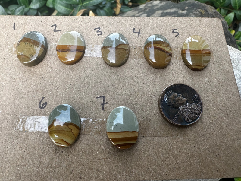 Picture Jasper Cabochons thin cut  (7 Options)