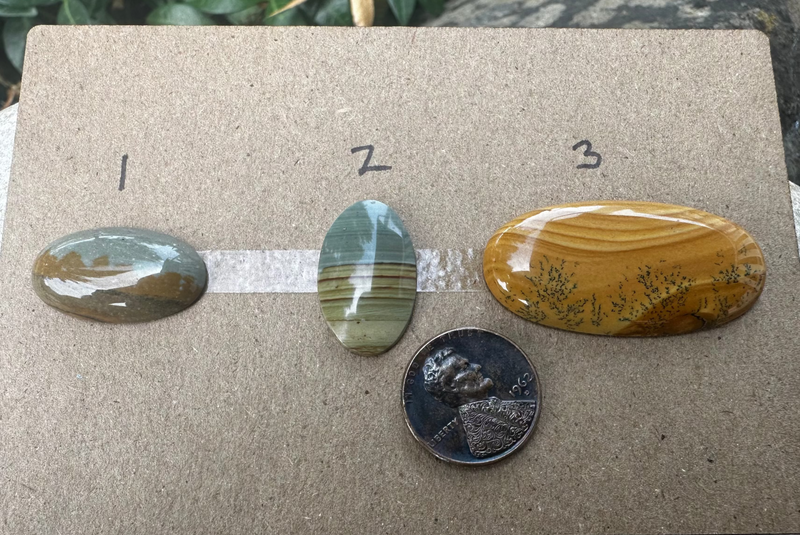 Picture Jasper Cabochons (3 Options)