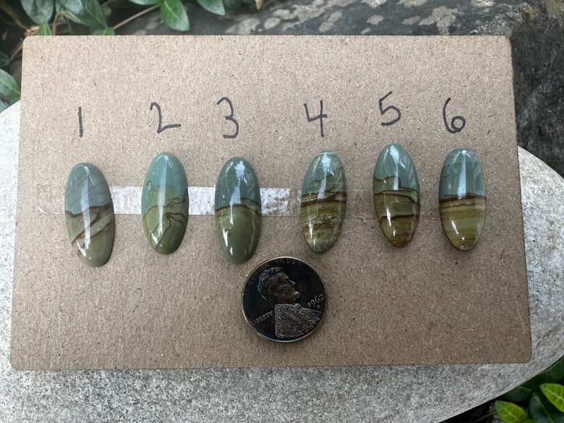 Picture Jasper Cabochons (6 Options)
