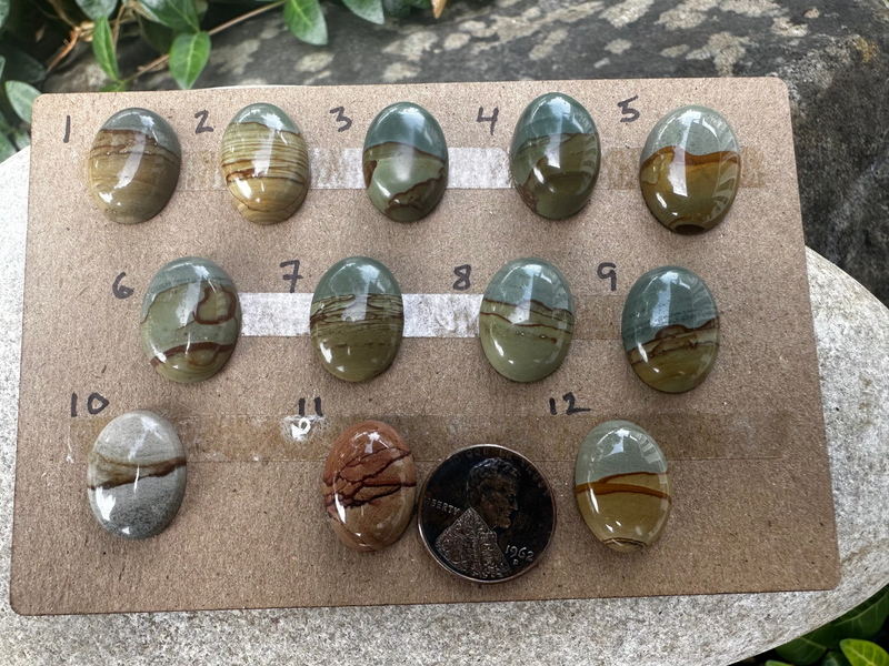 Picture Jasper Cabochons (12 Options)