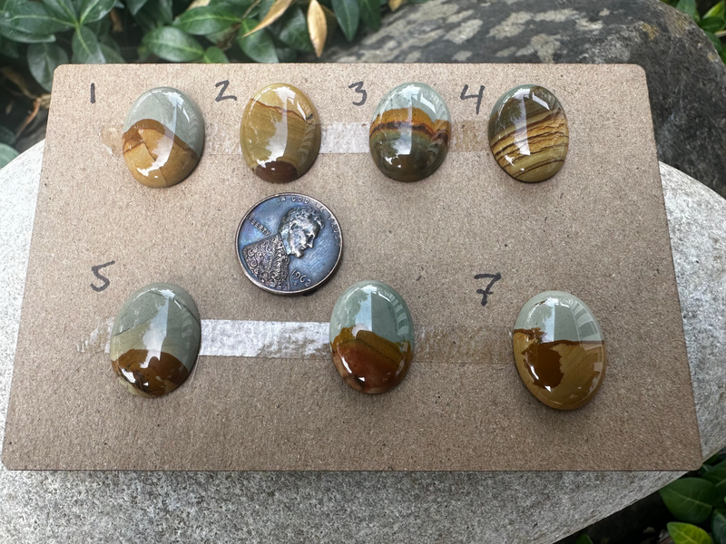 Picture Jasper Cabochons Thicker Cut  (7 Options)