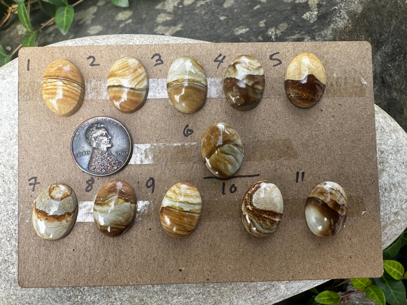 Picture Jasper Cabochons (11 Options)