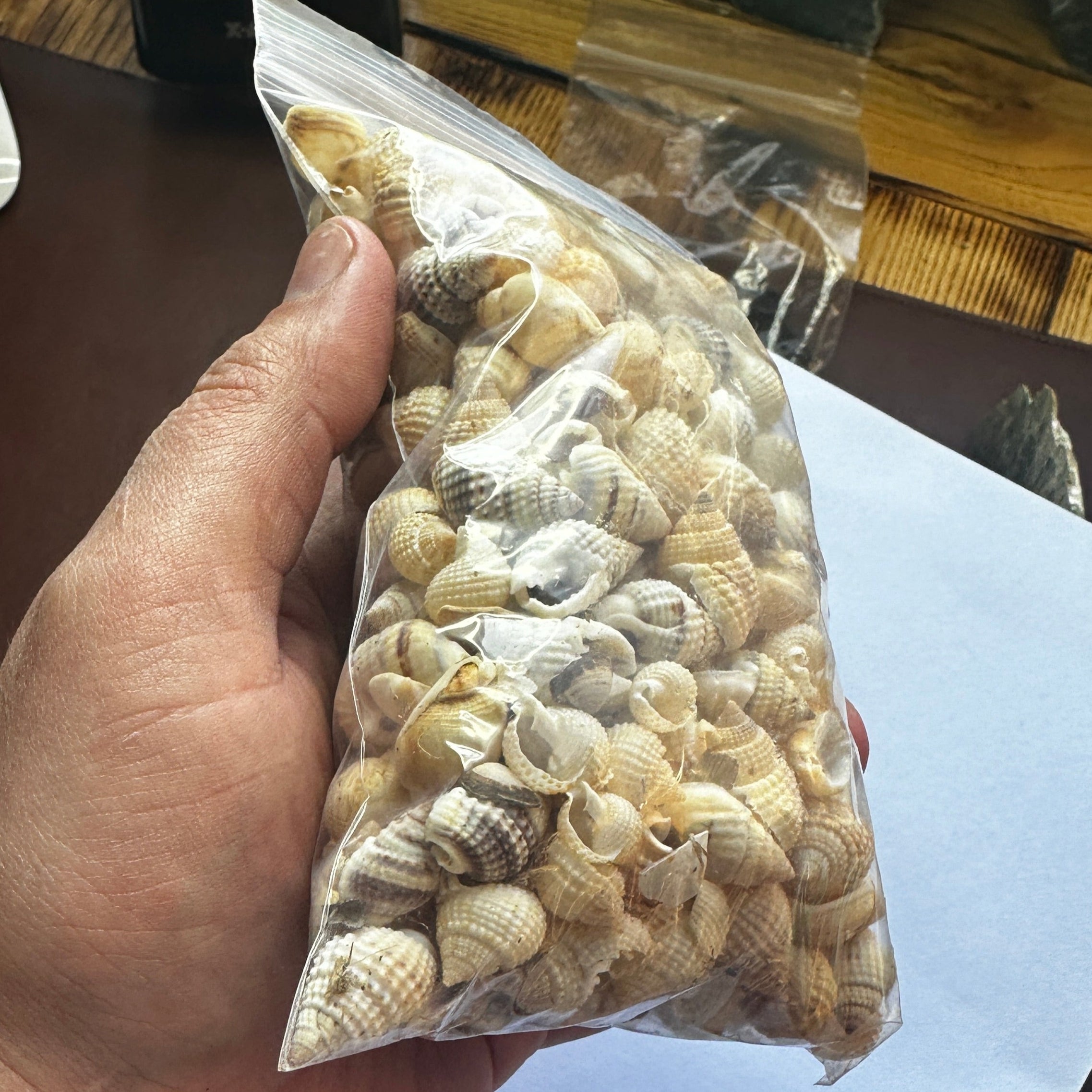 Big Bag of Sea Shells — Lion Punch Forge
