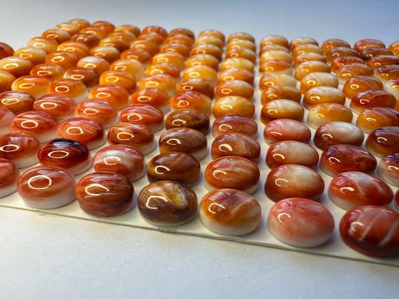 Spiny Oyster Cabochons (Round and Oval)