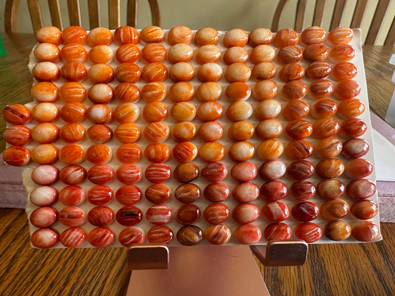 Spiny Oyster Cabochons (Round and Oval)