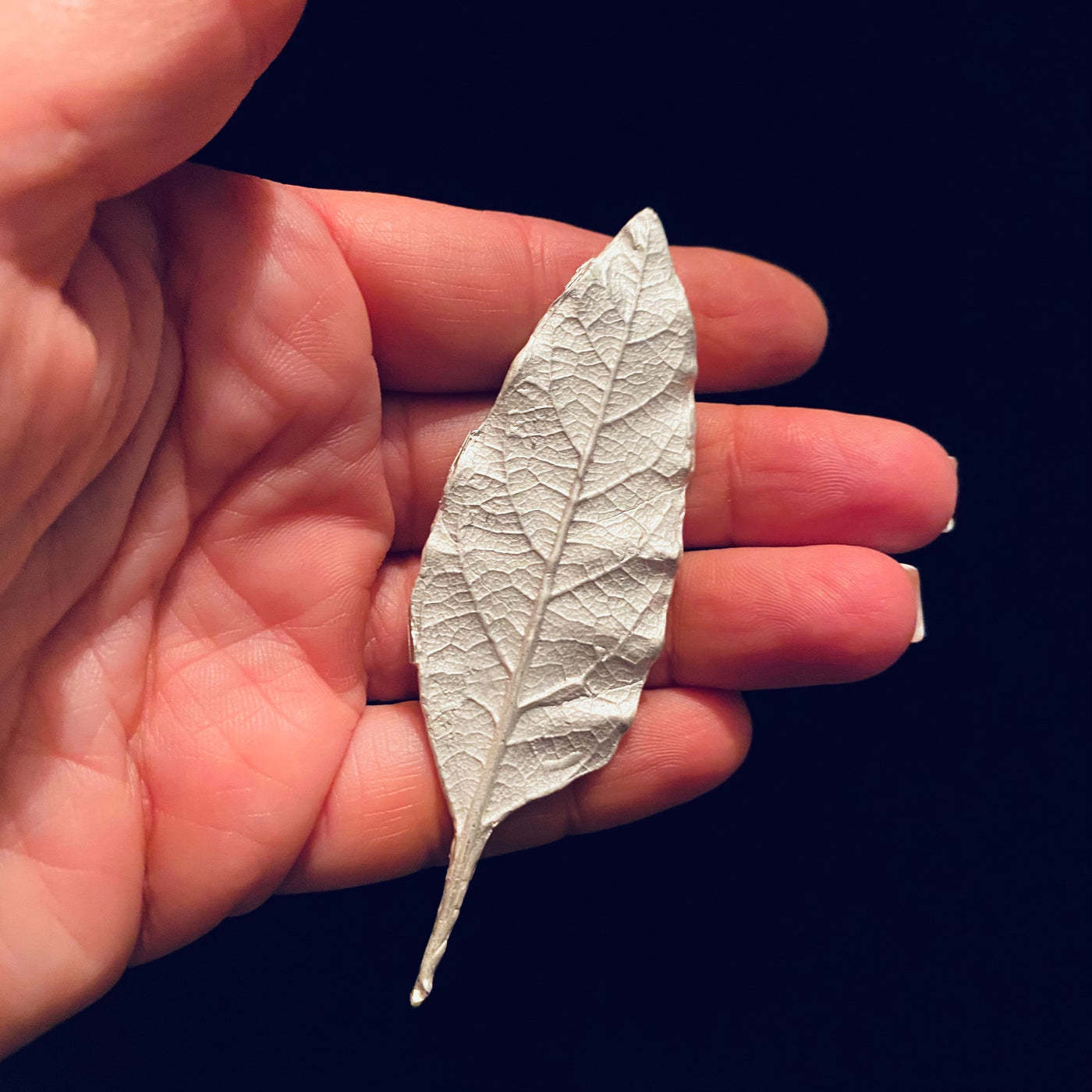 Leaf Casting for Jewelry Design — Lion Punch Forge