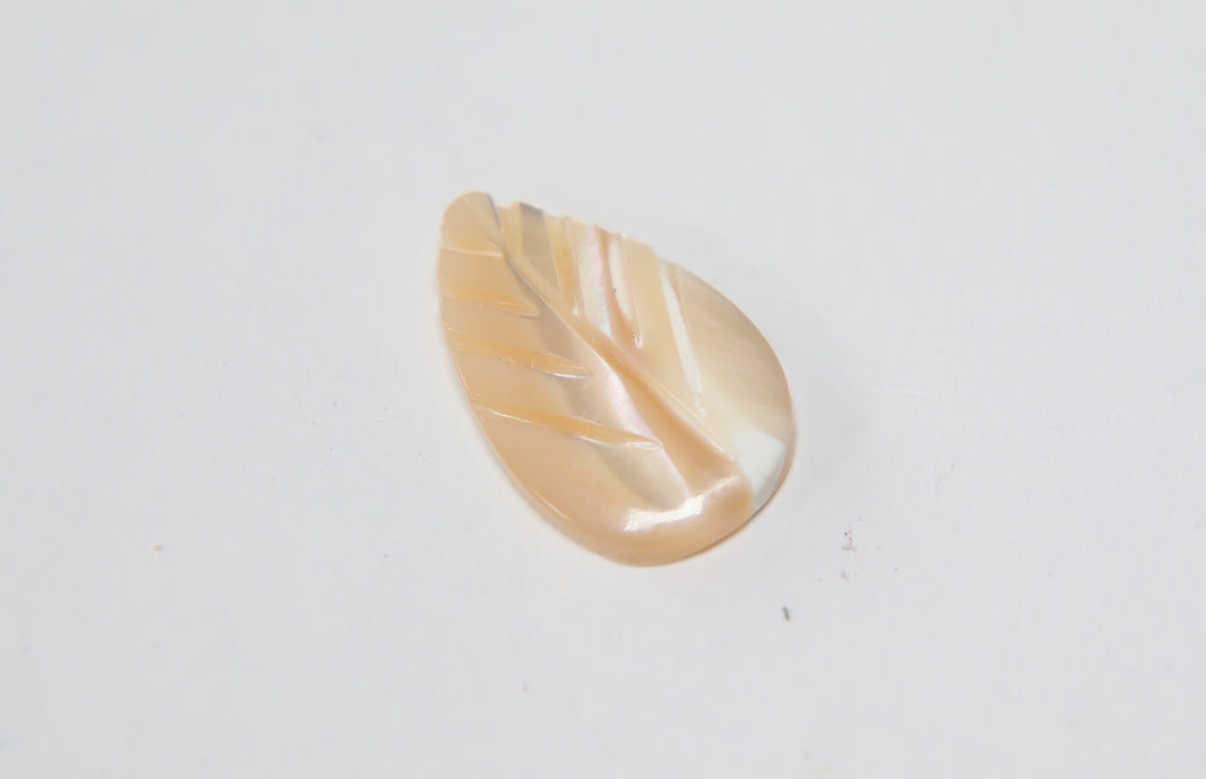 Carved Mother Of Pearl Leaf Cabochons