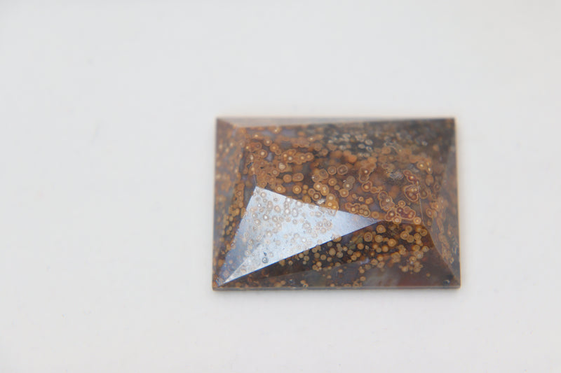 Facet top Oregon orbicular Jasper cabochon