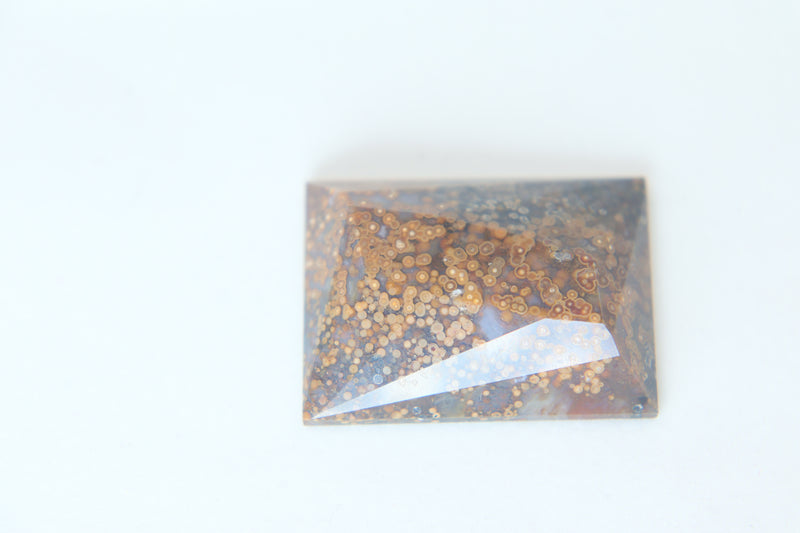 Facet top Oregon orbicular Jasper cabochon