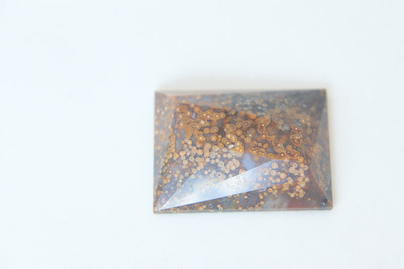 Facet top Oregon orbicular Jasper cabochon