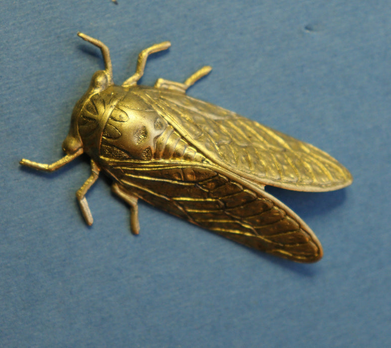 Cicada Stamping