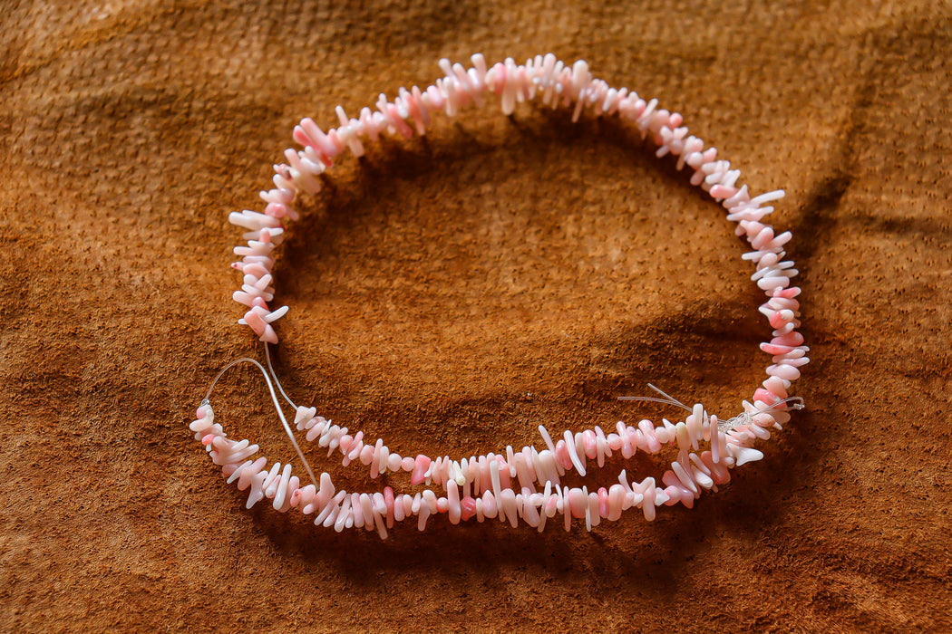 Perles de branche de corail