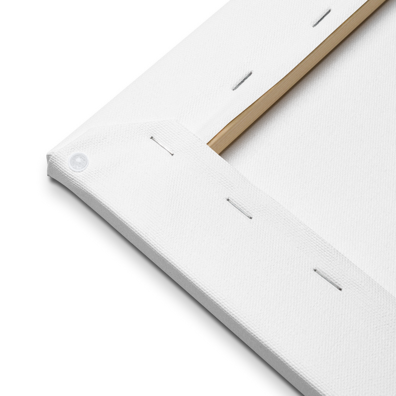 No Flux Given 12x12 Canvas